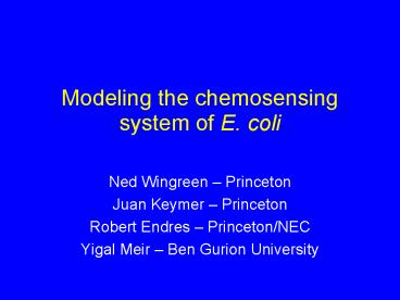 Modeling the chemosensing system of E' coli