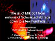 sub-parsec scale properties of the TeV blazar Mrk 501