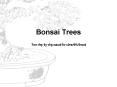 Bonsai Trees PowerPoint PPT Presentation