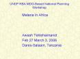 UNDP RBA MDGBased National Planning Workshop PowerPoint PPT Presentation