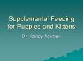 Supplemental Feeding for Puppies and Kittens PowerPoint PPT Presentation
