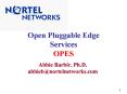 Open Pluggable Edge Services OPES PowerPoint PPT Presentation