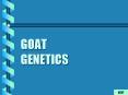GOAT GENETICS PowerPoint PPT Presentation