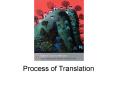 Process of Translation PowerPoint PPT Presentation