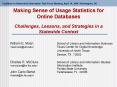 Making Sense of Usage Statistics for Online Databases  Challenges, Lessons, and Strategies in a Statewide Context PowerPoint PPT Presentation