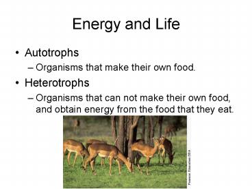 presentation player overlay