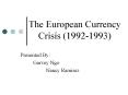 The European Currency Crisis (1992-1993) PowerPoint PPT Presentation