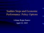 Sudden Stops and Economic Performance: Policy Options