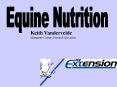 Equine Nutrition PowerPoint PPT Presentation