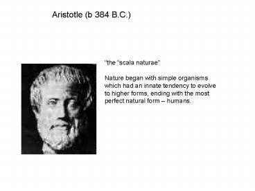 Aristotle b 384 B'C'