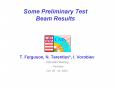 Some Preliminary Test Beam Results PowerPoint PPT Presentation