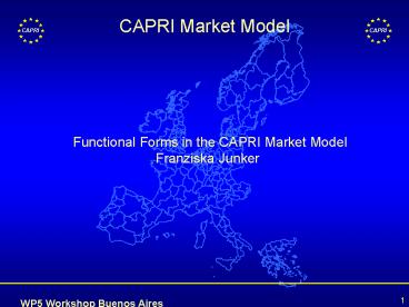 CAPRI Market Model