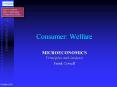 Consumer: Welfare PowerPoint PPT Presentation