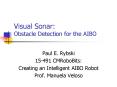 Visual Sonar: Obstacle Detection for the AIBO PowerPoint PPT Presentation