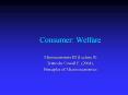 Consumer: Welfare PowerPoint PPT Presentation