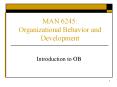 MAN 6245: Organizational Behavior and Development PowerPoint PPT Presentation