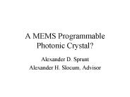 A MEMS Programmable Photonic Crystal