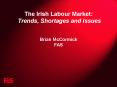 The Irish Labour Market: Trends, Shortages and Issues  Brian McCormick FAS PowerPoint PPT Presentation