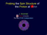 Probing the Spin Structure of the Proton at