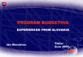 PROGRAM BUDGETING PowerPoint PPT Presentation