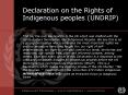 This [is] the only Declaration in the UN which was drafted with the rights-holders themselves, the Indigenous Peoples. We see this is as a strong Declaration which embodies the most important rights we and our ancestors have long fought for; our right of PowerPoint PPT Presentation
