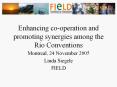 Enhancing co-operation and promoting synergies among the Rio Conventions PowerPoint PPT Presentation