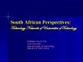 South African Perspectives: Technology Networks of Universities of Technology PowerPoint PPT Presentation
