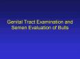 Genital Tract Examination and Semen Evaluation of Bulls PowerPoint PPT Presentation