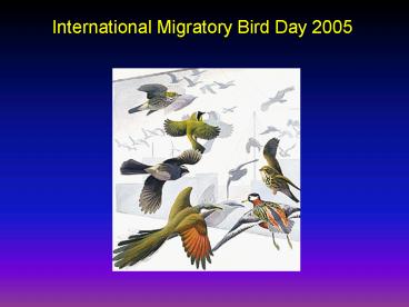 COLLISIONS: Clear the Way for Birds