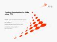 Funding Opportunities for SMEs within FP6 PowerPoint PPT Presentation