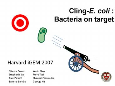 Cling-E. coli : Bacteria on target