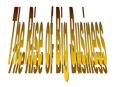 The Rise of Big Business PowerPoint PPT Presentation