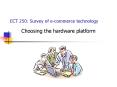 ECT 250: Survey of ecommerce technology PowerPoint PPT Presentation