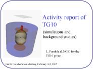 Activity report of TG10