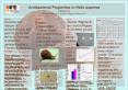 Scientific Poster PowerPoint PPT Presentation
