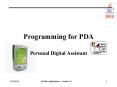 Programming for PDA PowerPoint PPT Presentation