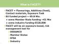 What is FACET? PowerPoint PPT Presentation