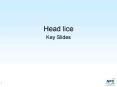 Head lice PowerPoint PPT Presentation