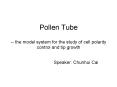 Pollen Tube -- the model system for the study of cell polarity control and tip growth PowerPoint PPT Presentation