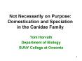 Not Necessarily on Purpose: Domestication and Speciation in the Canidae Family PowerPoint PPT Presentation