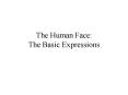 The Human Face: The Basic Expressions PowerPoint PPT Presentation