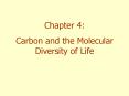 Carbon and the Molecular Diversity of Life PowerPoint PPT Presentation