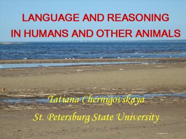 Communication with Russians in Corporate Discourse Format