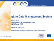 gLite Data Management System