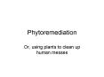 Phytoremediation PowerPoint PPT Presentation