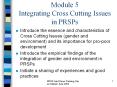 Module 5 Integrating Cross Cutting Issues in PRSPs PowerPoint PPT Presentation