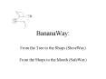 BananaWay: PowerPoint PPT Presentation