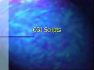 CGI Scripts