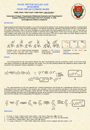 NOVEL PEPTIDE NUCLEIC ACID MONOMERS FROM TRIPLEX-FORMING BASES