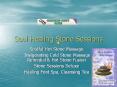 Soul Healing Stone Sessions PowerPoint PPT Presentation